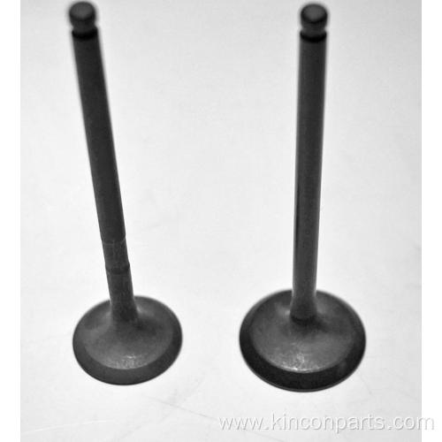 Engine Valves BYD